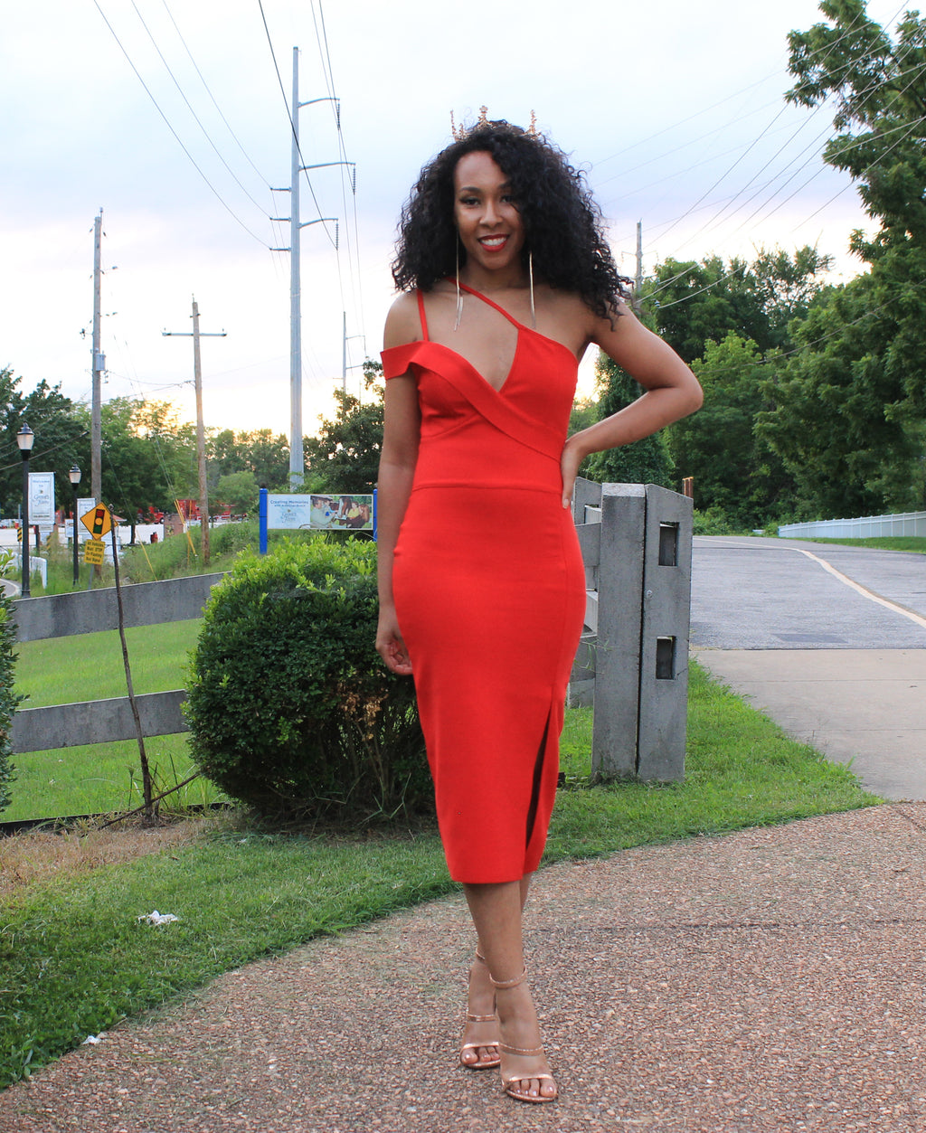 Strawberries and Wine Dress