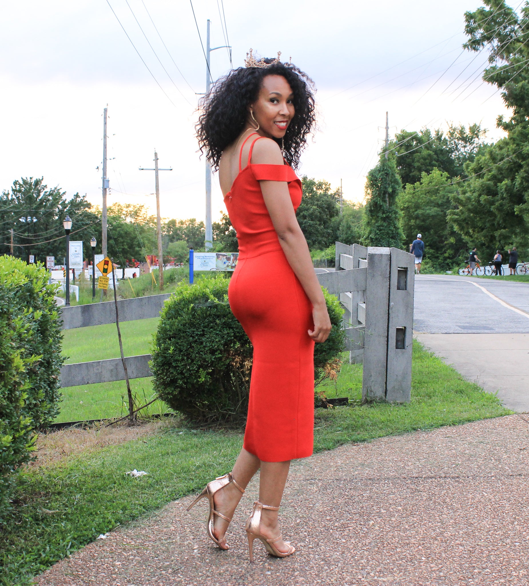 Strawberries and Wine Dress